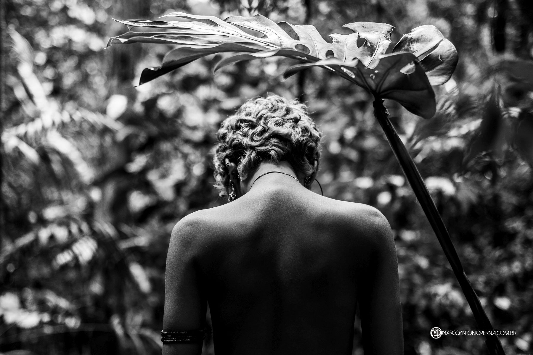 Into the Woods III - Lalih